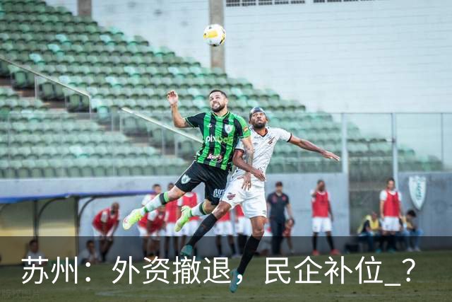 苏州：外资撤退，民企补位 ？